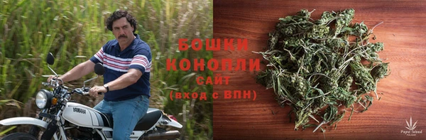 ALPHA-PVP Новозыбков